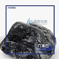 【AC草影】八海石（XL/2kg）【一組】BSK01011 | Yahoo奇摩拍賣