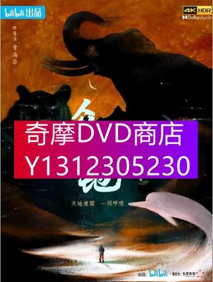 DVD專賣 2022大陸劇【眾神之地/The Land of Spirits】【全4集】【劉棕】【國語中字】