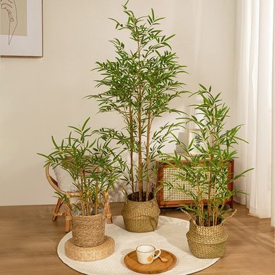 侘寂風仿真竹子盆栽室內新中式禪意造景假竹子落地裝飾擺件綠植滿減 促銷 夏季