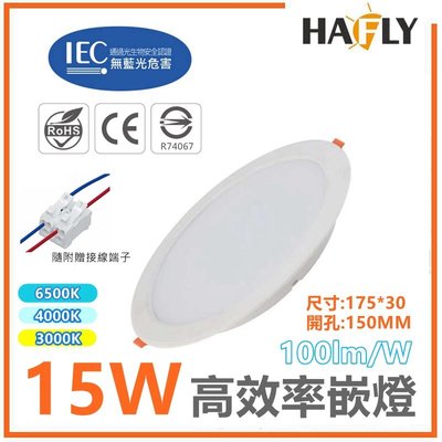 HAFLY 高效率 15W LED嵌燈 崁燈取代傳統LED燈泡燈管 開孔150MM