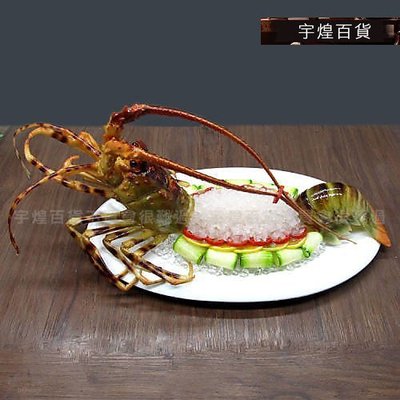 《宇煌》仿真食物模型澳洲大龍蝦模型訂製假模型假菜中餐炒菜模型櫥窗展示_R142B
