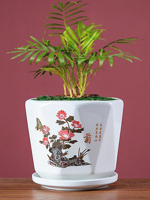 溜溜花盆陶瓷處理大口徑白色創意簡約綠蘿蝴蝶蘭花多肉盆栽帶托盤