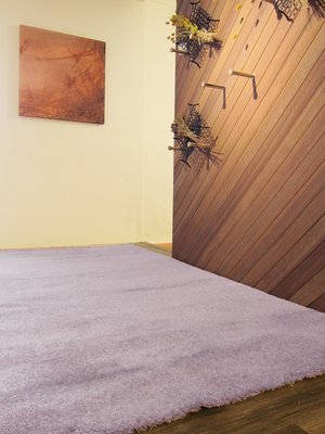 【 范登伯格】舒芙67藕紫-比利時100%尼龍質地蓬鬆超柔軟進口地毯.活動價20900元含運-200x290cm