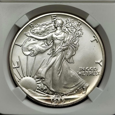 美國1989年89，美國鷹洋銀幣1盎司，自由女神行走女神純銀