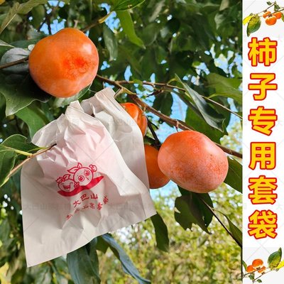【現貨精選】柿子套袋專用袋白木漿紙臍橙子沃柑橘石榴番茄八月瓜防水防蟲包郵