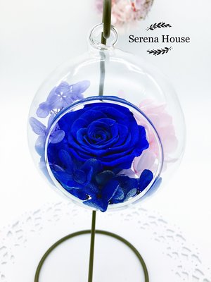 *~Serena House~*不凋花永生花 美女與野獸 母親節禮物 寶藍玫瑰花玻璃罩吊飾 婚禮小禮 生日禮物 現貨供應