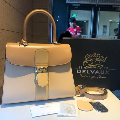 42：Delvaux brillant拼色28