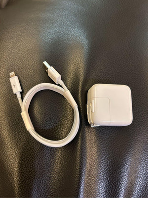 原廠 蘋果 APPLE iPad Pro Air mini 12w 充電器組+全新 Lightning 線材