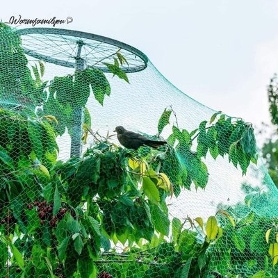 Warmfamily 防鳥網保護植物果樹蔬菜防護 防護果園網罩