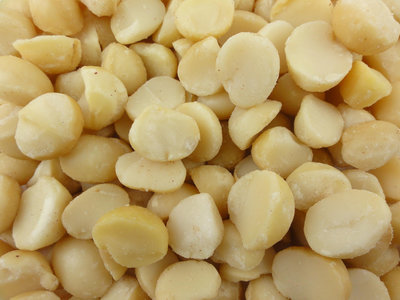 低温烘焙夏威夷豆 ( 4L ) MACADAMIA 原味 熟夏威夷豆 - 3kg 穀華記食品原料