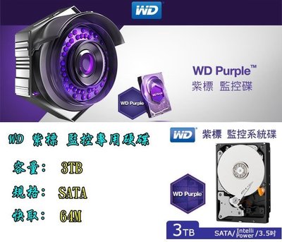 【瑞華】WD 紫標 影音AV監控專用硬碟 3TB 3000G 監視器 類比/數位 DVR 監控主機專用 3年保 實體店面