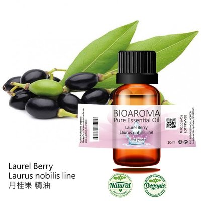 【純露工坊】月桂果精油Laurel Berry - Laurus nobilis line 100ml