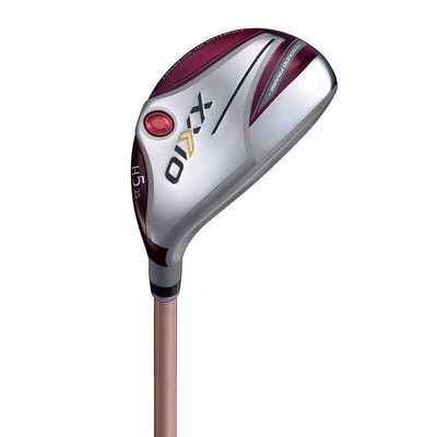 高爾夫球桿 戶外用品 XXIO/XX10 高爾夫球桿女士 鐵木桿golf-一家雜貨