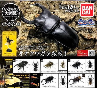 【奇蹟@蛋】日版BANDAI (轉蛋)鍬形蟲環保扭蛋03 大全5種整套販售 NO:6968