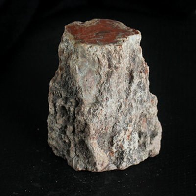 水玉冰魄天然樹化石原石擺件原皮原礦硅化木化石把玩紅樹化玉實物凌雲閣化石隕石 促銷