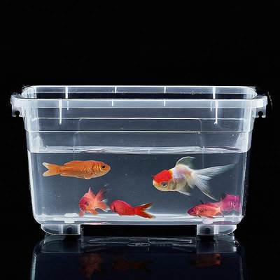 【現貨】高透明塑料箱養魚養龜箱桌面手提收納箱收納盒戶外車載釣魚箱魚缸
