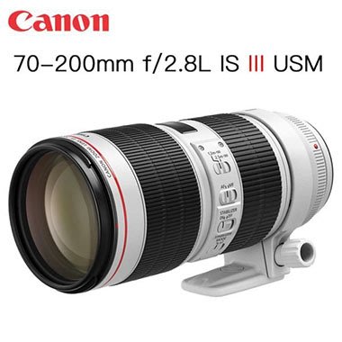 彩色鳥 (A73 A7S3)租 Canon EF 70-200mm f2.8L IS III USM 3代 5D4 R6