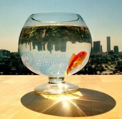 【熱賣精選】魚缸 烏龜缸 創意大號無鉛葡萄酒透明玻璃酒杯魚缸客廳小型 高腳花瓶斗魚缸