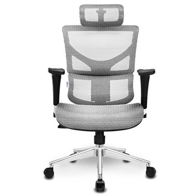 【熱賣精選】Ergomax ALX 電腦椅家用護腰人體工學椅電競椅辦公椅老板椅轉椅