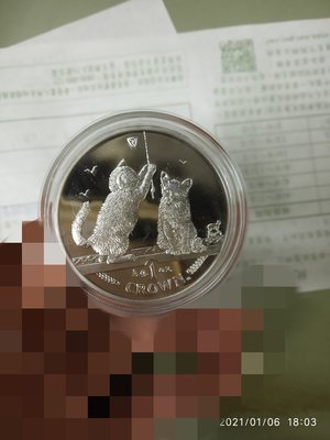 純精製銀幣 英國 索馬利小貓2001 Somali cat sliver coin