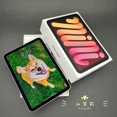 【高雄現貨】iPad mini6 256Gb Wi-Fi 256G mini 6 粉 8.3吋