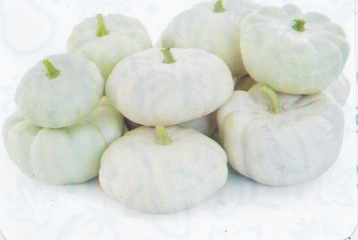 【蔬菜種子S230】白鮑魚櫛瓜~~嚴選白綠皮色的鈴噹及飛碟型夏南瓜混和品種，採收嫩果食用，外觀可愛品質佳。