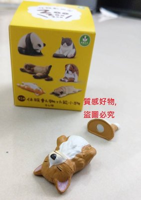 情人 特價[限量現貨]全家 第一波 休眠動物療癒小物 柯基 磁鐵 公仔 比扭蛋大隻 玩具