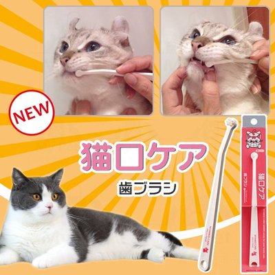 日本製 mind up 貓咪專用牙刷