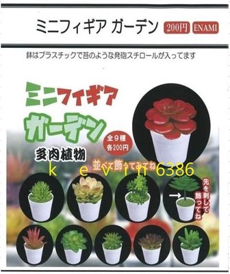 東京都-ENAMI 盆栽 植物 轉蛋 扭蛋 多肉植物(全9種) 附彈紙 現貨