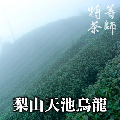 梨山烏龍茶天池, SGS 高山茶 台灣茶 3600元/斤 《特等茶師》