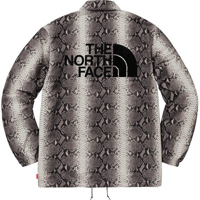 【IMP】Supreme The North Face Snakeskin Taped Seam 蛇紋風衣