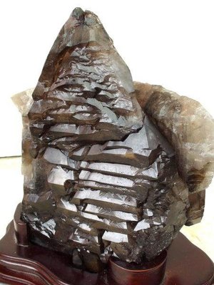 ~shirley 水晶~優質巴西金髮鱷魚骨幹~1.35公斤~完整生長~能量強大~低價起標!