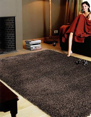 【范登伯格】嘉年華44深棕-160x240cm格獨特不失奢華進口長毛地毯.促銷價7990元含運-160x240cm