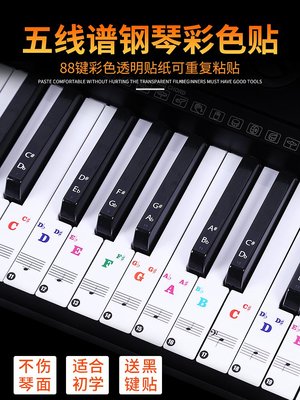 鋼琴彩色88/61/49/37鍵盤貼紙  透明貼紙五線譜電子琴簡譜音符鍵