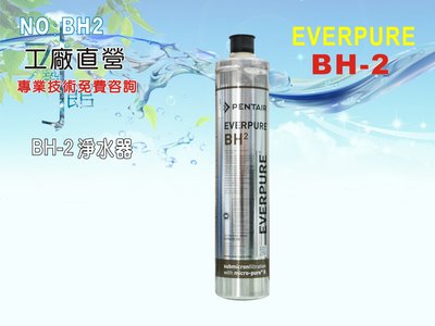 【水築館淨水】Everpure/BH2淨水器(貨號BH2)
