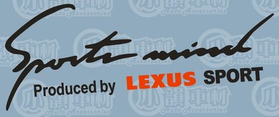 【小韻車材】LEXUS 燈眉貼 URX RX200 車款 車貼 防水 汽車改裝 大頭燈貼 LAVITA MATRIX