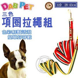 【🐱🐶培菓寵物48H出貨🐰🐹】DAB PET》I Love DAB系列 6分3色項圈拉繩組 特價233元