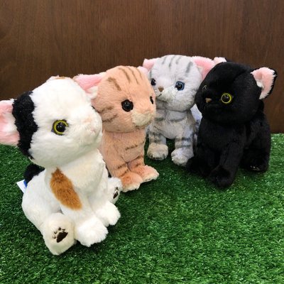 【誠誠小舖】日本進口 正版 動物 SUNLEMON KITTEN 貓咪 虎斑貓 咖啡色 灰色 三花 黑 絨毛 玩偶 娃娃