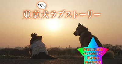 DVD 專賣 東京犬愛情故事 日劇 2023年