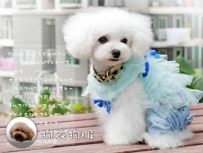 狗衣狗服│【春夏款】日本abby可愛甜美寶石腰帶千層蛋糕紗裙禮服-水藍色
