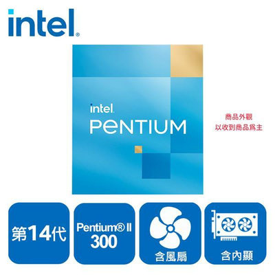 Intel Pentium 300 中央處理器(盒裝公司貨)【風和資訊】