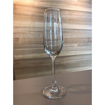 Ocean Classic香檳杯 酒杯 210ML ※ COLOUR歐洲生活家居 ※