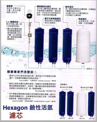 Hexagon 鹼性活氫水過濾系统 科士威48116水機 1234濾芯 價格請詳閱說明 淨水器水機 濾芯