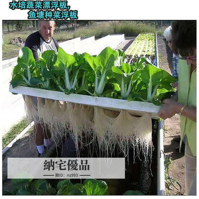 廠家出貨全網最低價!魚塘水面種植蔬菜定植板無土栽培設備水培種菜水耕（農業）