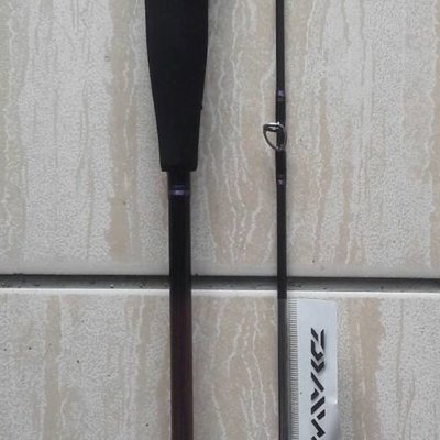 大象(優質精品)*DAIWA 