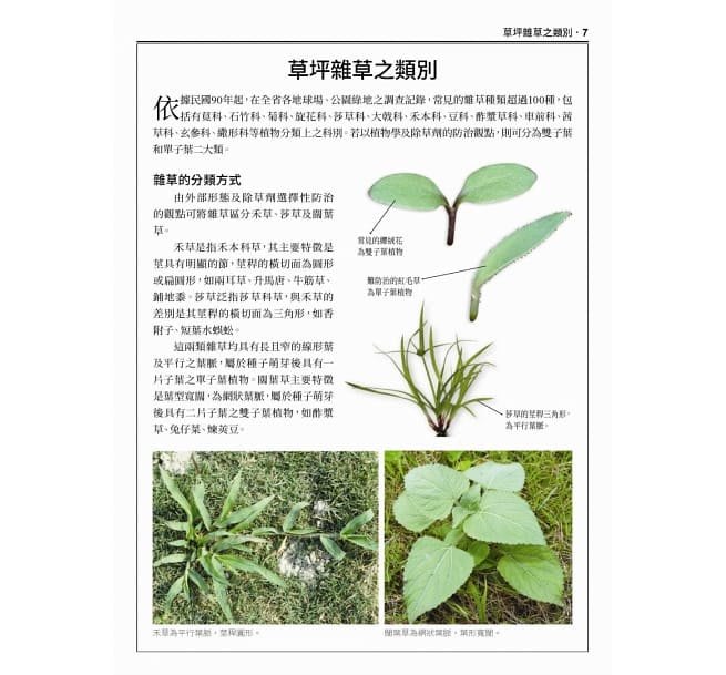 小貝比的家 貓頭鷹 台灣常見雜草圖鑑 標示有毒植物 外來種與防治方式 有效管理草坪雜草 Yahoo奇摩拍賣