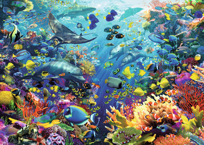 17807 9000片歐洲進口拼圖 RAV 動物 海底世界 海豚 魚 海龜 鯊魚 魟 珊瑚