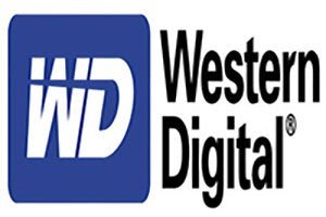 WD 500GB 3.5吋HDD 7200RPM 監控專用硬碟 單碟低噪音 DVR/NVR皆適用