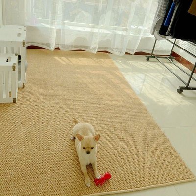 仿劍麻拍照日式地毯臥室客廳房間床邊工作室滿鋪大面積貓爪板地墊~熱銷