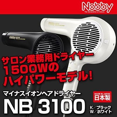 日本製 TESCOM Nobby NB3100 專業 沙龍 美髮 負離子 吹風機 大風量 冷熱風 復古 【全日空】